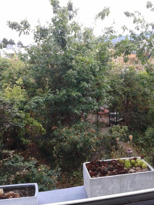 Logement Independant Colmar Ngoại thất bức ảnh