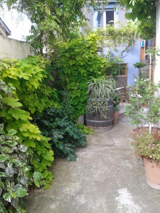 Logement Independant Colmar Ngoại thất bức ảnh